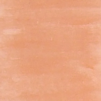 Colour swatch for Beauty Without Cruelty soft natural lip gloss apricot shimmer. Vegan and cruelty-free. Available at Lovethical along with plenty of other vegan and cruelty-free beauty products, makeup, make up, toiletries and cosmetics for all your gift and present needs. 