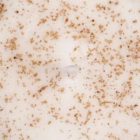 UpCircle chai latte soy wax candle. Vegan and cruelty-free. Image shows a close up of the candle wax.